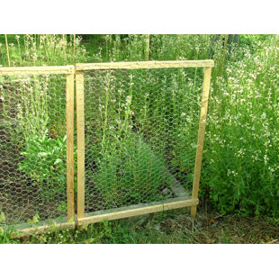 ARCHIE & OSCAR Eugenia Wire Mesh