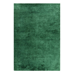 BRAYDEN STUDIO Aikin Solid Colour Shag Area Rug