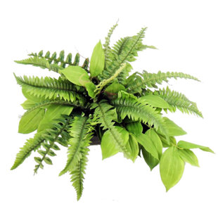 PRIMRUE 10'' Faux Fern Plant in Metal Planter