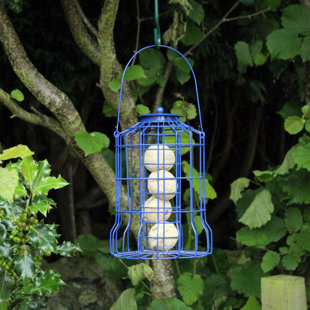 ARCHIE & OSCAR Estela Metal Hanging Decorative Bird Feeder