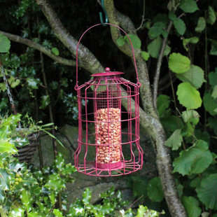 ARCHIE & OSCAR Eva Metal Hanging Decorative Bird Feeder