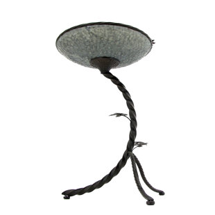 ZAER LTD INTERNATIONAL 