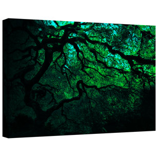 ARTWALL Japanese Dark Tree by John Black - Photograph Print on Canvas