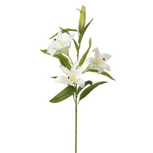 HAPPY LARRY White Lily Stem (Set of 2)