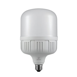 GLOBE ELECTRIC COMPANY 250 Watt Equivalent T140 E26/Medium (Standard) 5000K LED Bulb