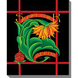 WEST OF THE WIND OUTDOOR CANVAS ART Modern & Contemporary On Canvas Graphic Art