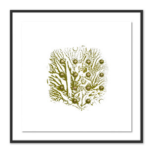 FOUR HANDS ART STUDIO Green Golden " Green Golden Imprint 6 " by Anne Mersmann