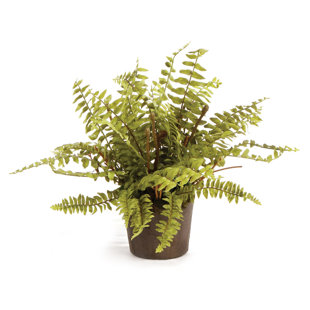 MILLWOOD PINES Analea 12'' Faux Fern Plant