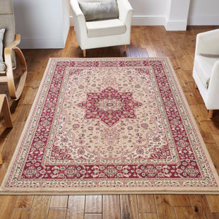 ASTORIA GRAND Glenaire Beige Color Traditional Rug Attractive Look