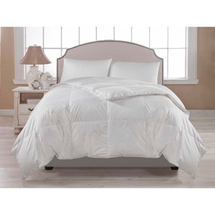 ALWYN HOME Wetzel 100% Cotton Comforter