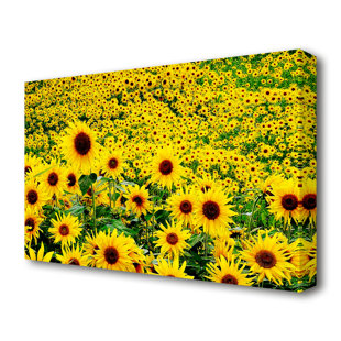 EAST URBAN HOME A Field Of Golden Sunflowers Flowers - Wrapped Canvas Print