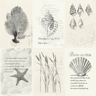 GALERIE WALLCOVERINGS Skagen Shells 33' L x 21" W Wallpaper Roll