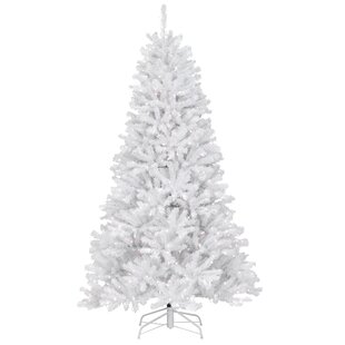 National Tree Company North Valley White Spruce Tree with Clear Lights