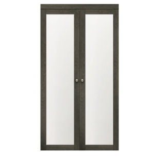 RENIN 80'' Solid + Manufactured Wood Paneled Pivot Doors