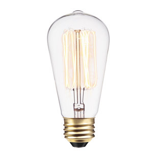GLOBE ELECTRIC COMPANY 40 Watt E26/Medium (Standard) Dimmable 2700K Incandescent Bulb
