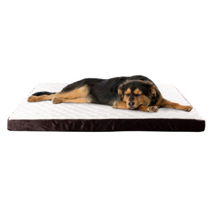 PURE GARDEN Orthopedic Polyester Pet Bed