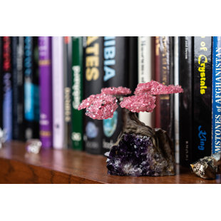 ASTRO GALLERY OF GEMS Small Rose Quartz Clustered Gemstone on Amethyst Matrix (The Love Tree)