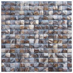 NOVOTILESTUDIO Savona 12'' W x 12'' L Seashell Tile Mosaic Sheet