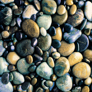 IMAGINE TILE, INC. 8" x 8" Ceramic Pebble Tile