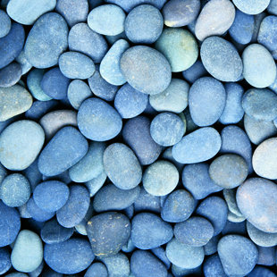 IMAGINE TILE, INC. River Rocks 16" x 16" Ceramic Pebble Tile