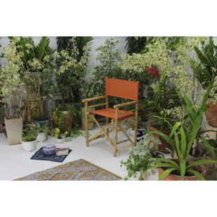 BAYOU BREEZE Yohana Folding Director Chair (Set of 2)