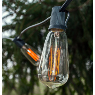 HOMETOWN EVOLUTION, INC. Edison String Lights Outdoor 25 - Bulb 25'' Plug-in String Light