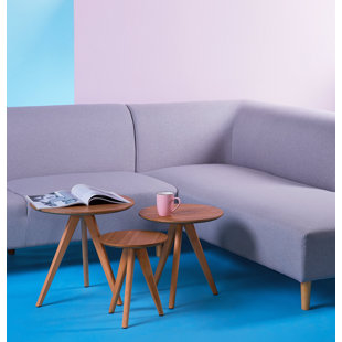 BRAYDEN STUDIO Broken Hill 3 Piece Nest of Tables