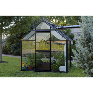 JANSSENS OF BELGIUM Junior 96" W x 144" D Greenhouse