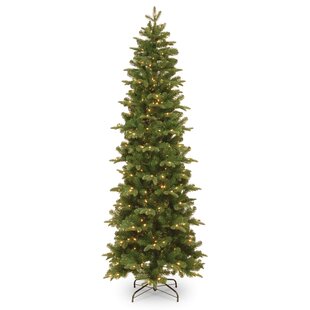 THE HOLIDAY AISLE® North Valley Spruce Pencil Slim Tree with Clear Lights