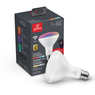 GLOBE ELECTRIC COMPANY Equivalent E26/Medium (Standard) Dimmable LED Smart Bulb