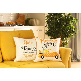 APOLENA Pillow Cover (Set of 2)