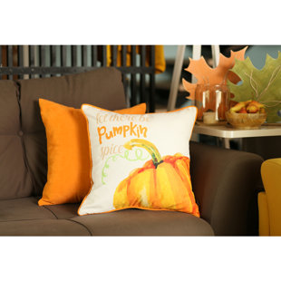 APOLENA Pillow Cover (Set of 2)