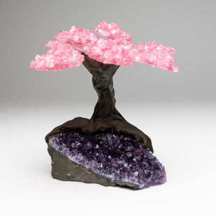 ASTRO GALLERY OF GEMS Medium Genuine Rose Quartz Clustered Gemstone Tree on Amethyst Matrix (The Love Tree)