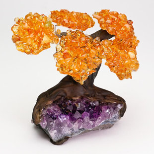 ASTRO GALLERY OF GEMS Small Genuine Citrine Clustered Gemstone Tree on Amethyst Matrix (The Money Tree)