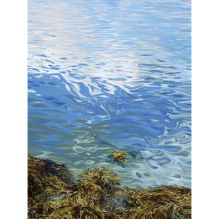 GREENBOX ART Seaweed On Canvas by Emily Drummond Print