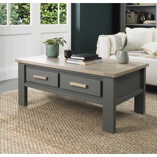 THREE POSTS Camden Coffee Table with Storage