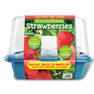 Silver Circle Products Growing Kit Fruits / Vegetables