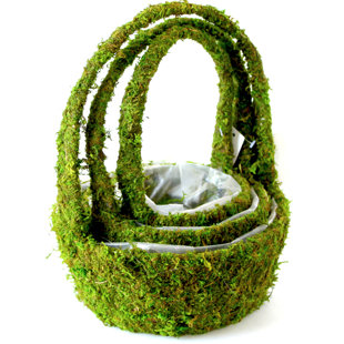 SUPERMOSS™ Hanging Planter (Set of 6)