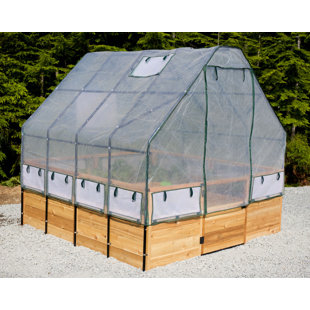 OUTDOOR LIVING TODAY 8 ft. W x 8 ft. D Cedar Garden in a Box with Greenhouse Covering