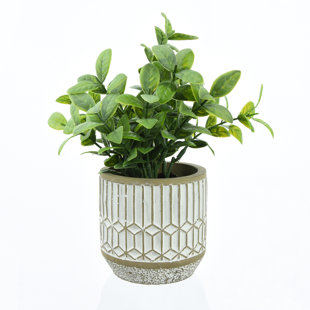 THE SEASONAL AISLE 22.5cm Faux Foliage Plant in Porcelain Pot