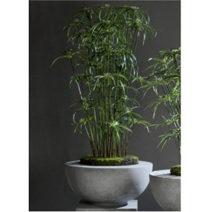 PRIMRUE Faux Cedar Tree