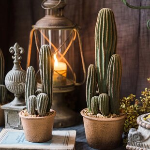 PRIMRUE Faux Cactus Plant in Terracotta Pot