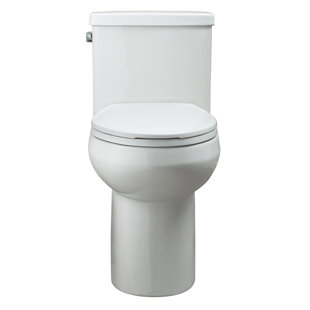 HAZELWOOD HOME 1.28 GPF (Water Efficient) Elongated One-Piece Toilet (Seat Included)