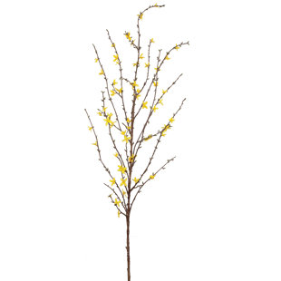GRACIE OAKS Dorrian Forsythia Stem