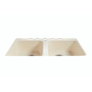 CECO Royal Palm 33" L x 22" W Double Basin Undermount Kitchen Sink