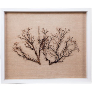 JAMIE DIETRICH Sealife - Picture Frame Graphic Art Print on Fabric