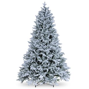 FOUNDSTONE 6ft Snowy Hamilton Spruce Tree