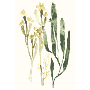 BLUE ELEPHANT Kelp Collection IV by June Erica Vess - Wrapped Canvas Painting Print