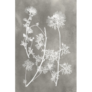 BLUE ELEPHANT Herbarium Study IV by Vision Studio - Wrapped Canvas Painting