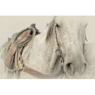 BLUE ELEPHANT Cow Pony by PHBurchett - Wrapped Canvas Print